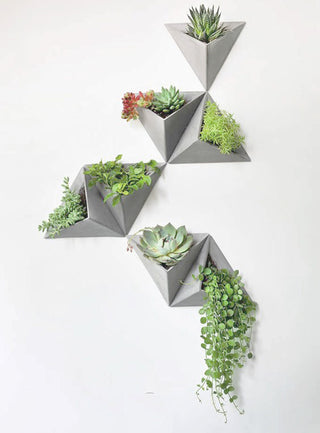 Minimalist Concrete Triangle Wall Plant Pot/housewarming gift/Home and Office Decor/ Geometric Hanging Wall Planter