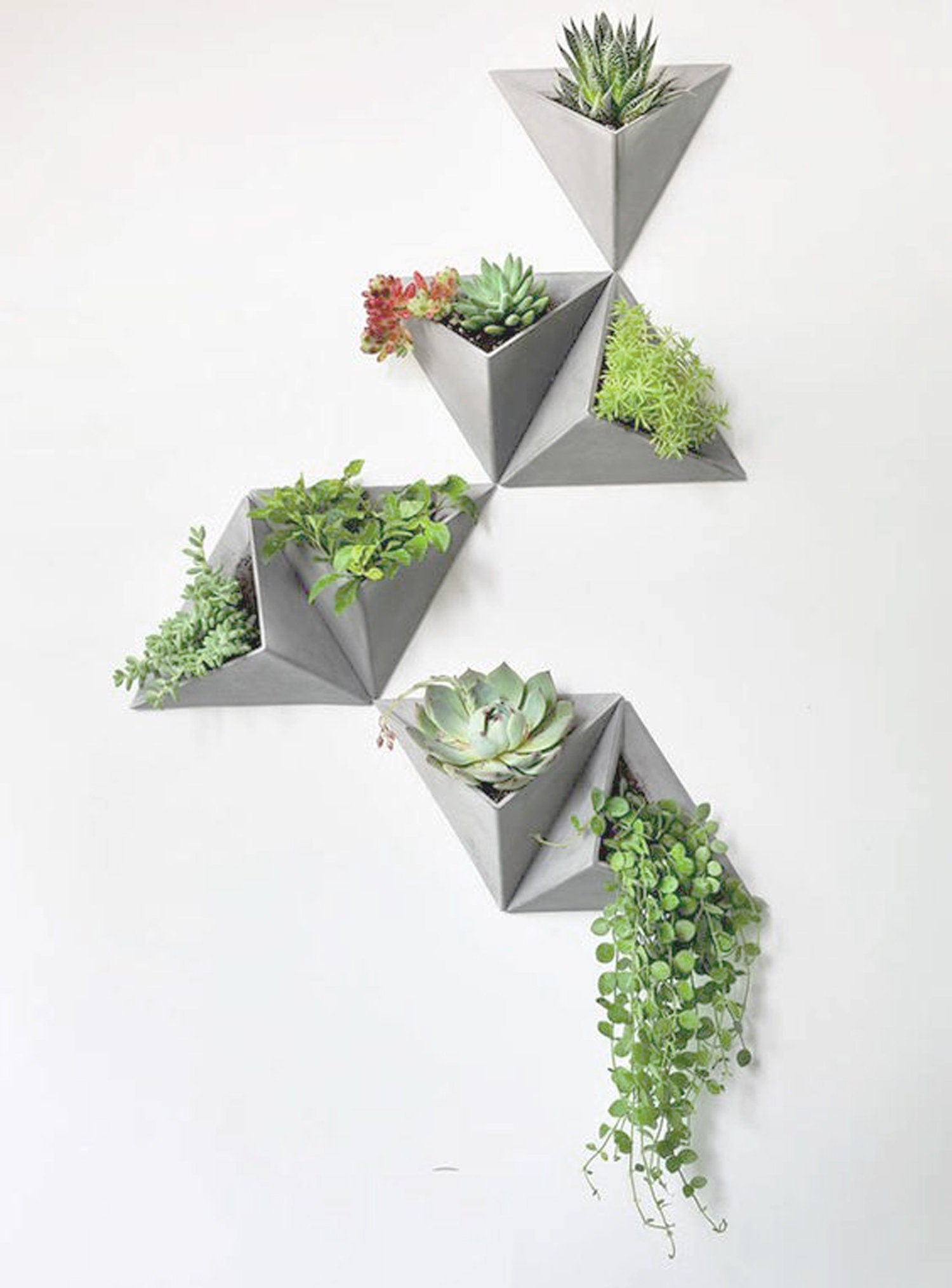 Triangular Planter Layout Triangular Concrete Wall Planter | Hanging Plant Pot โ MMEP.
