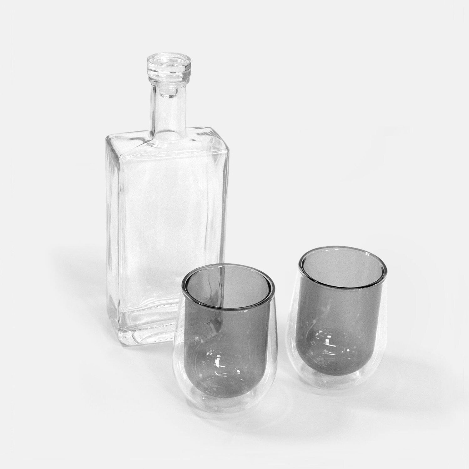 Minimal Double Wall Insulated Glasses Set of 2
