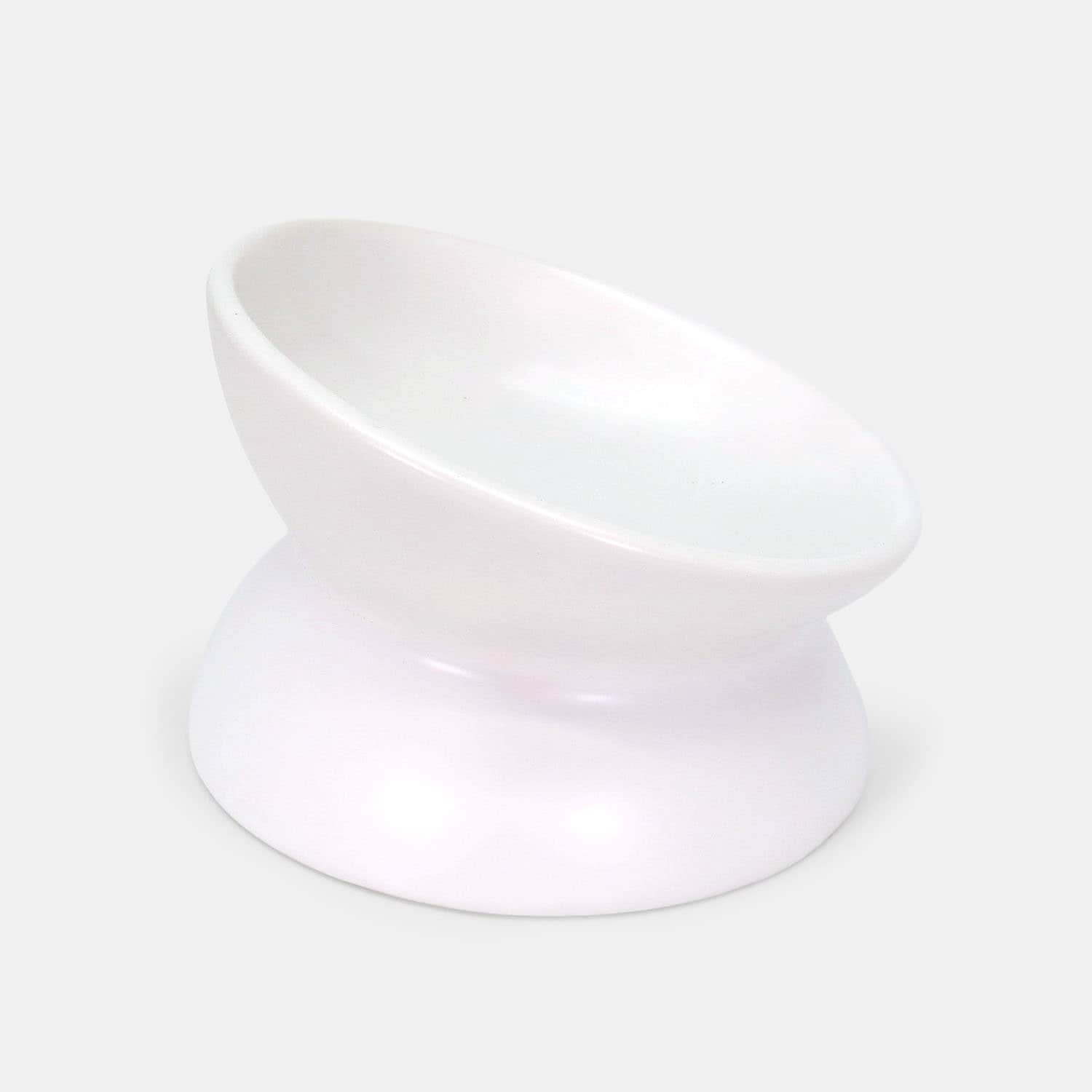 Ergonomically Tilted Ceramic Pet Food and Water Bowl