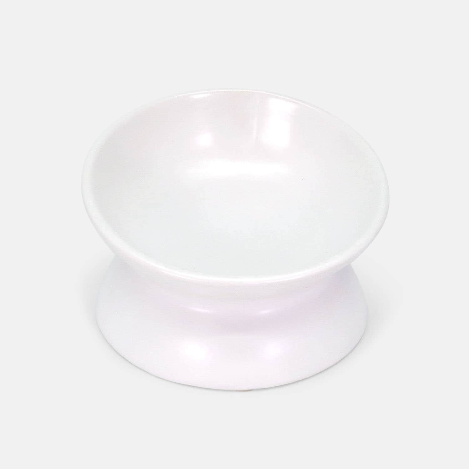 Ergonomically Tilted Ceramic Pet Food and Water Bowl